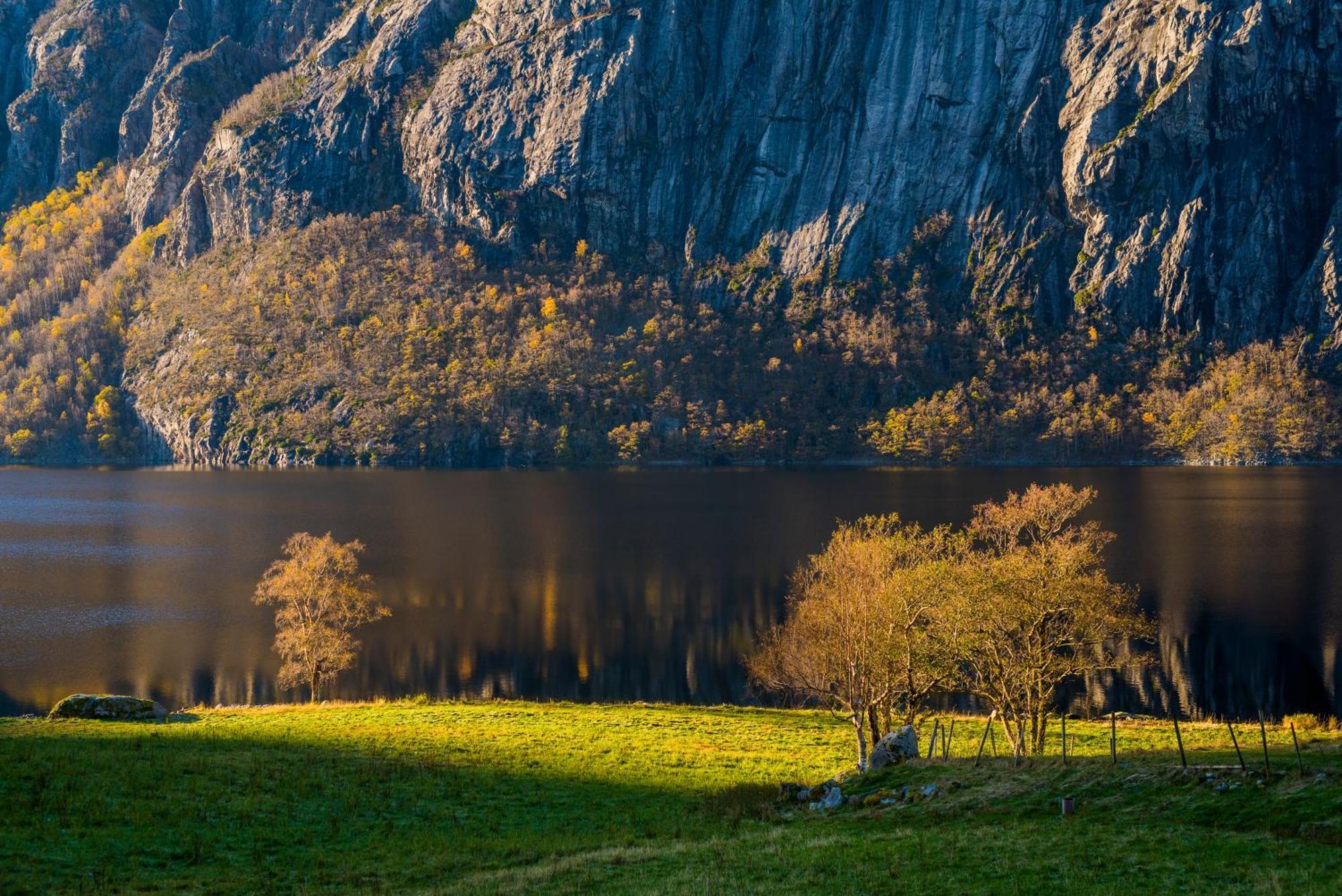 Forsand Hytte Ved Preikestolen מראה חיצוני תמונה
